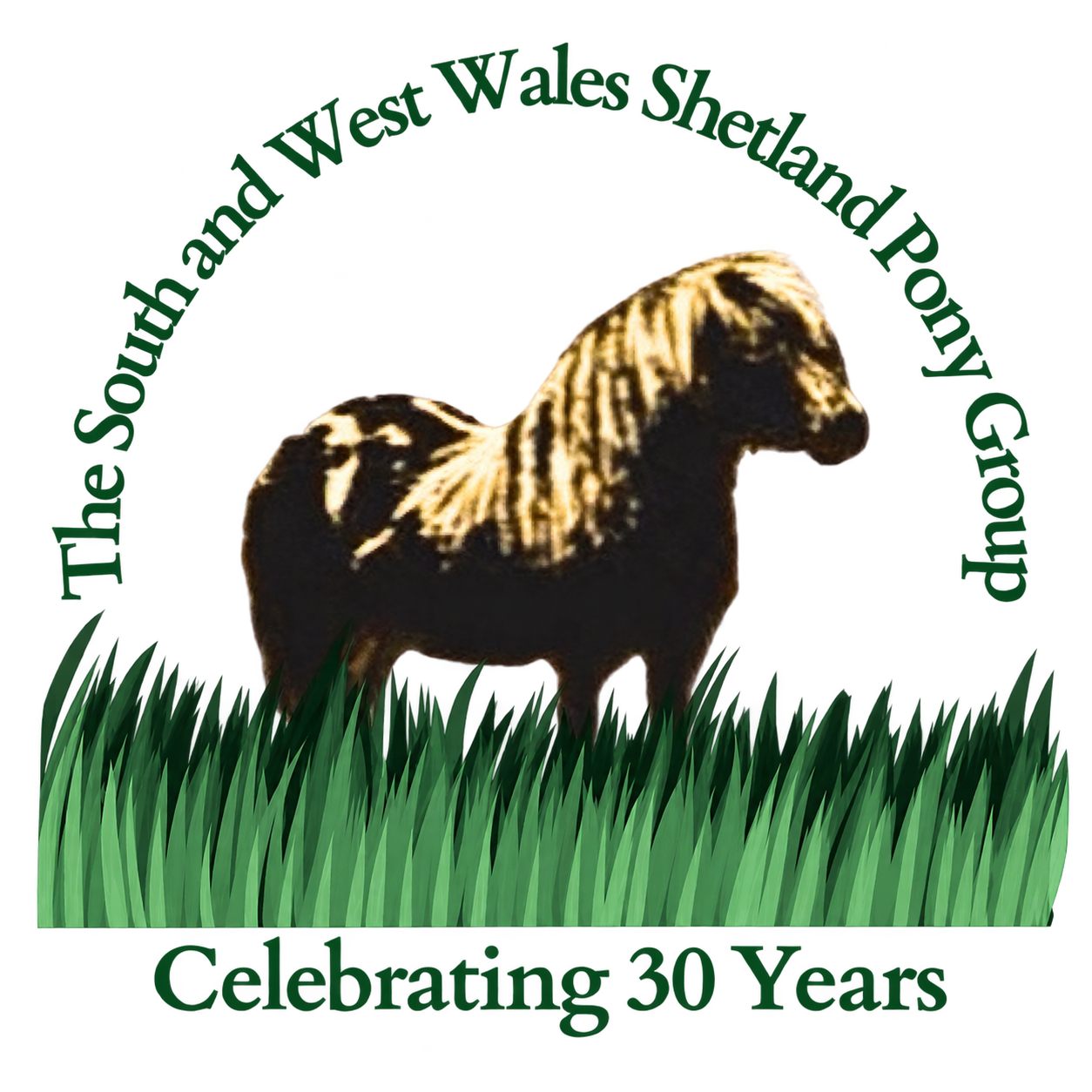 South and West Wales Shetland Pony Group — Celebrating 30 Years